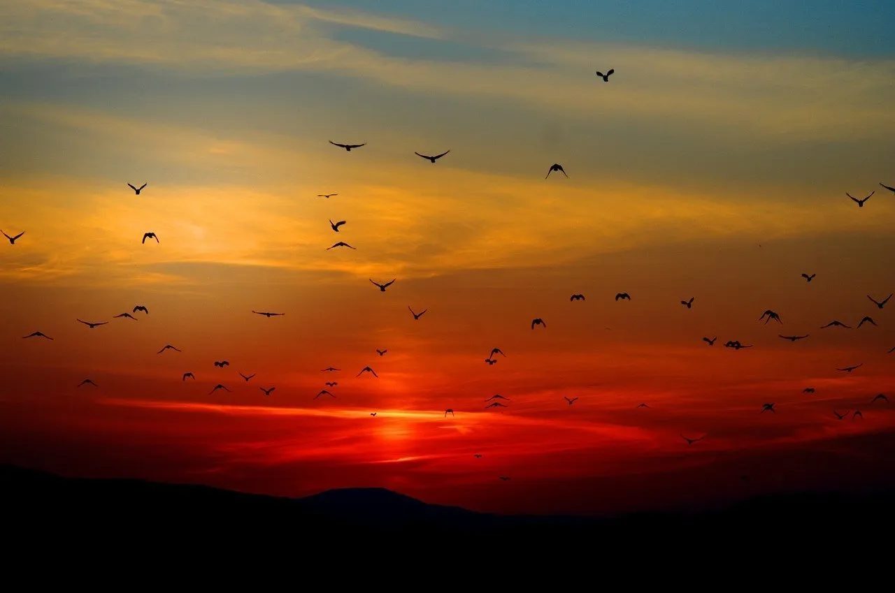 i migliori posti per vedere il tramonto