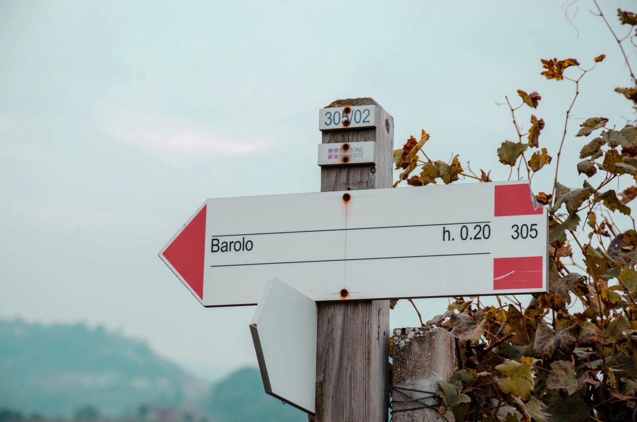 cosa vedere nelle langhe