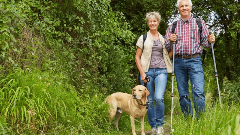 dog-friendly-activities-in-veneto