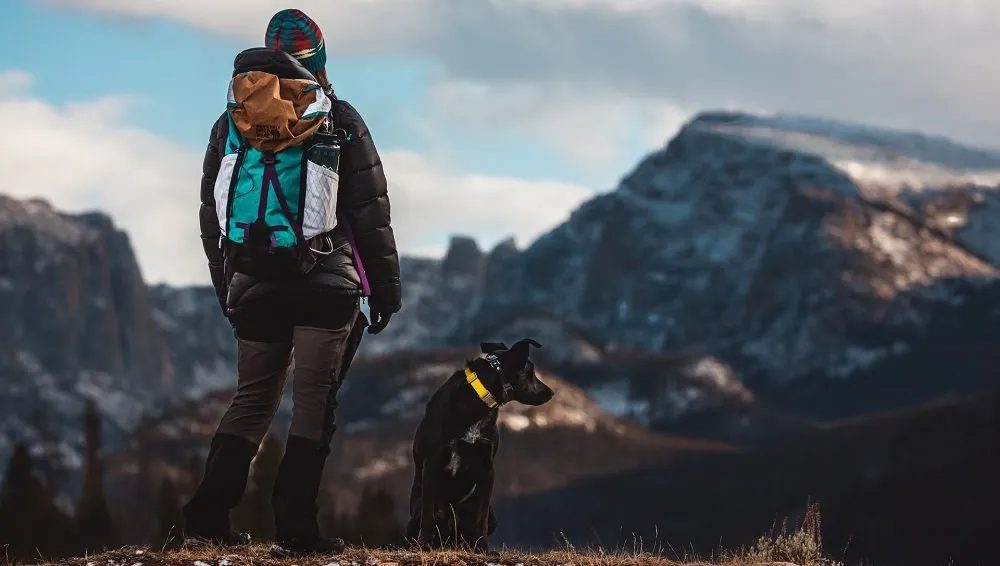 montagna-cane