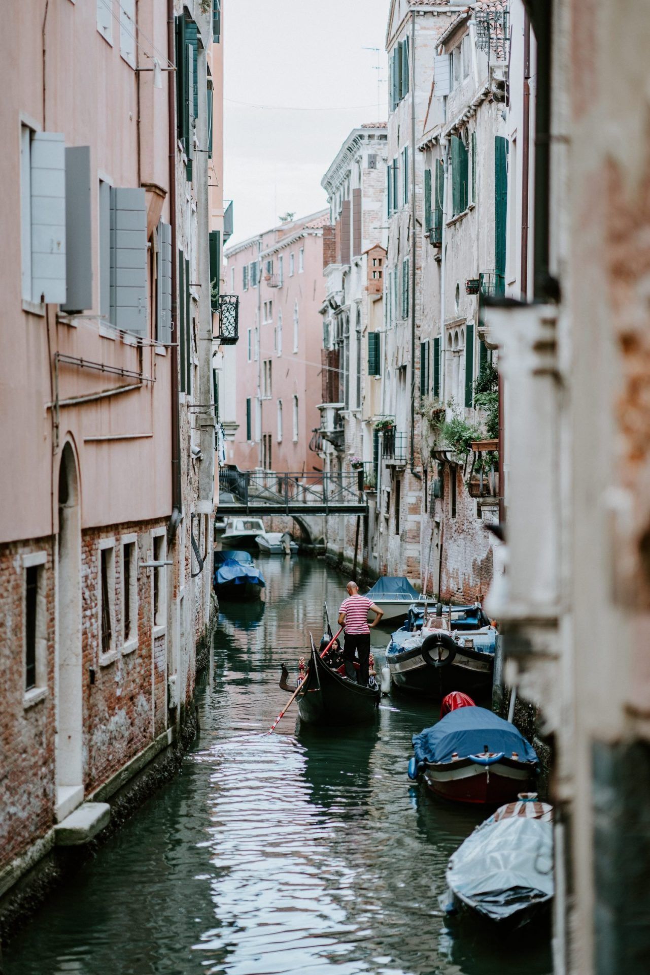 Venice Bacaro: Discover the Secrets of Traditional Venetian Bars and Let Their Charm Captivate You