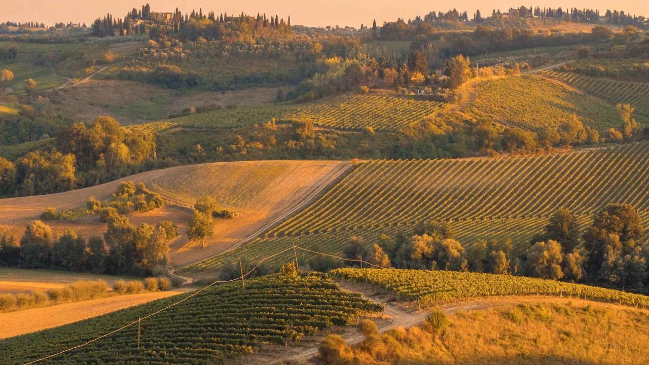 charm bonassola passi alto adige yoga places to do yoga in vineyards in italy