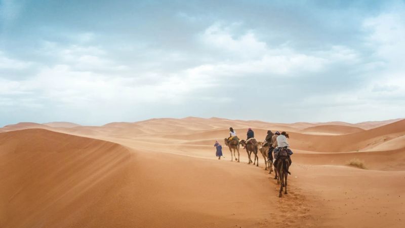 Group Trips With Flights Included: Meeters' Offers to Get You Going!