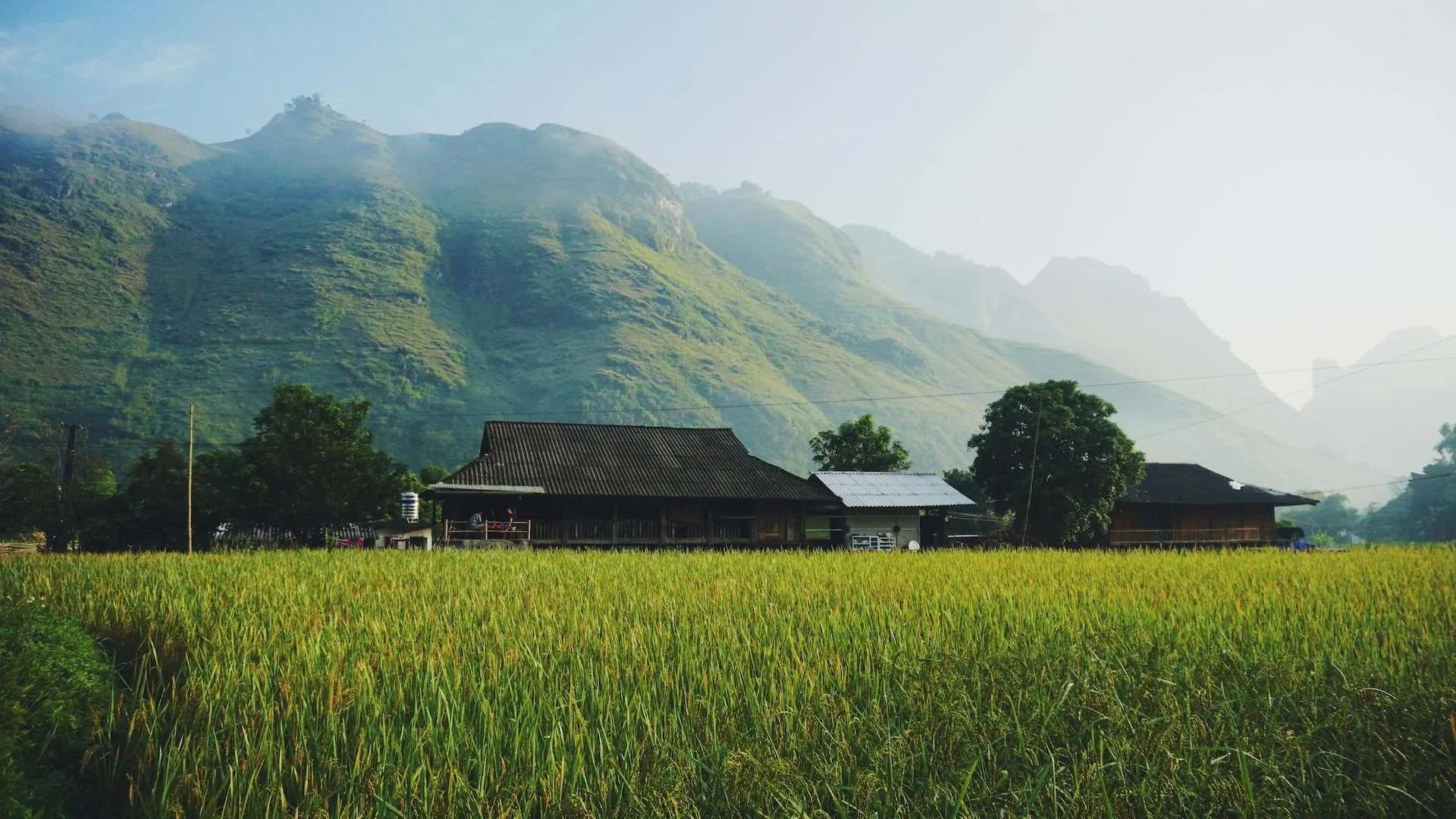 travel to vietnam vietnam trip honeymoon trip city mekong delta hanoi nature