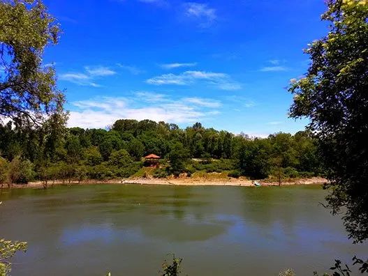 heron park