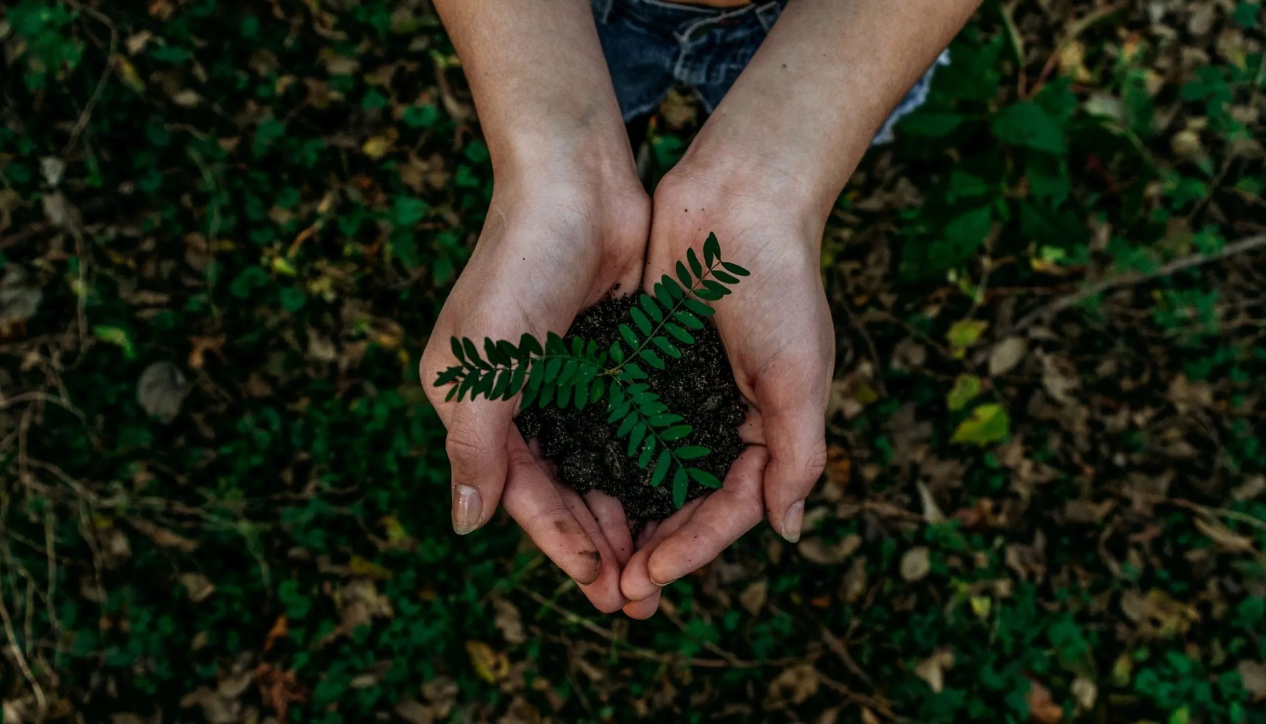 sustainable lifestyles