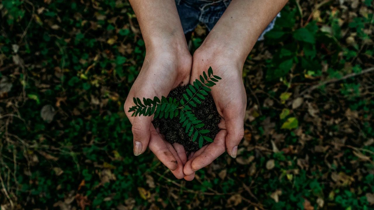 sustainable lifestyles