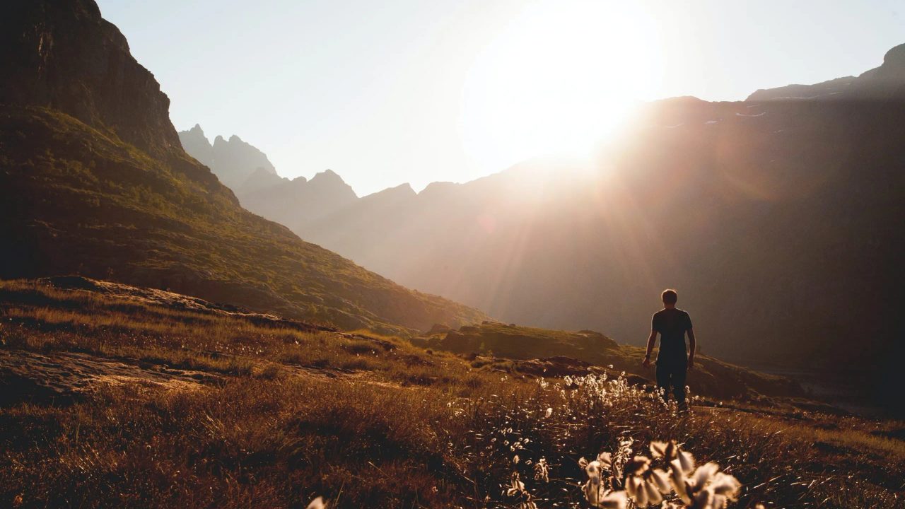 the benefits of walking