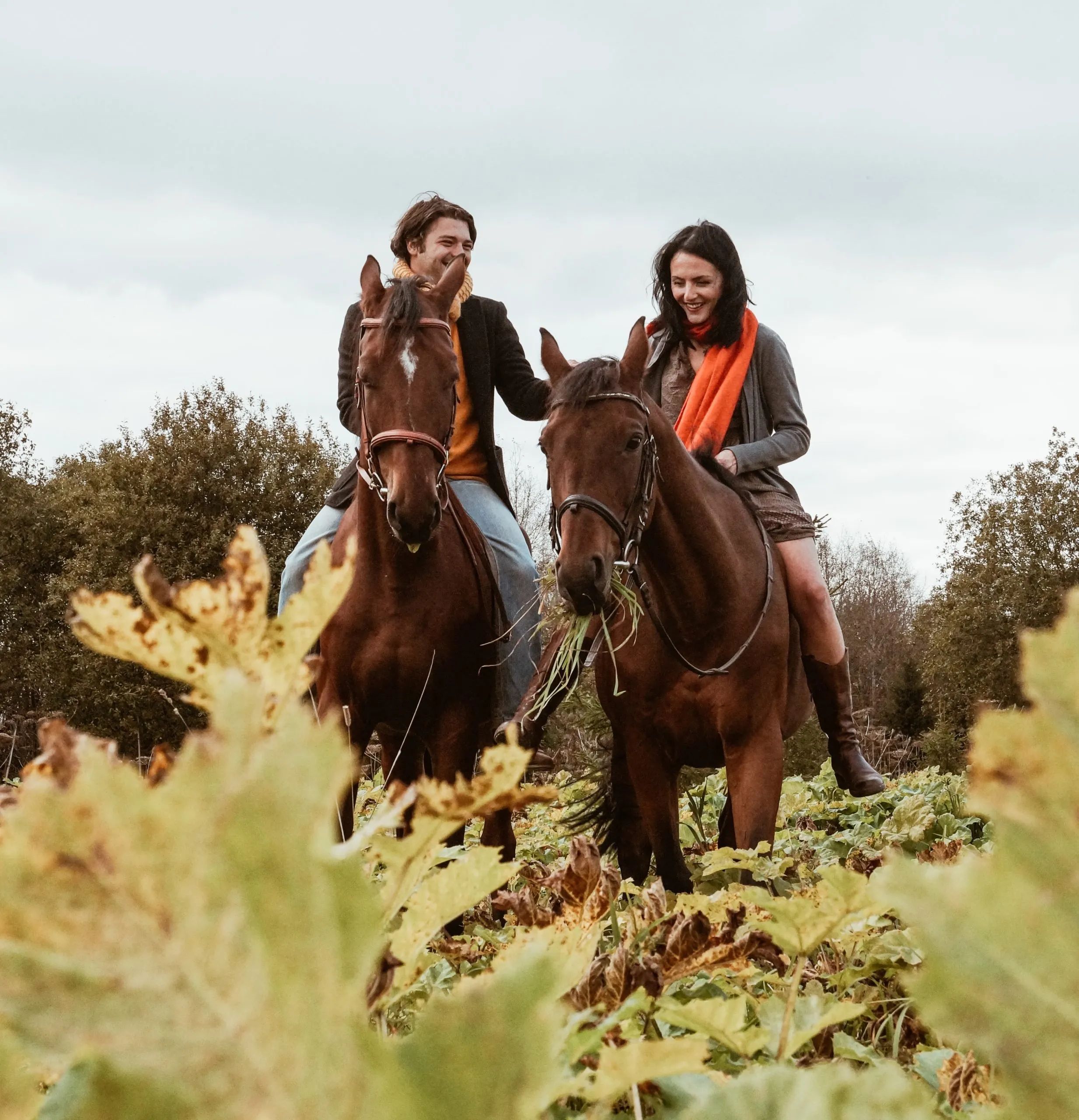 Discovering Italy on Horseback: The Best Rides to Immerse Yourself in Nature