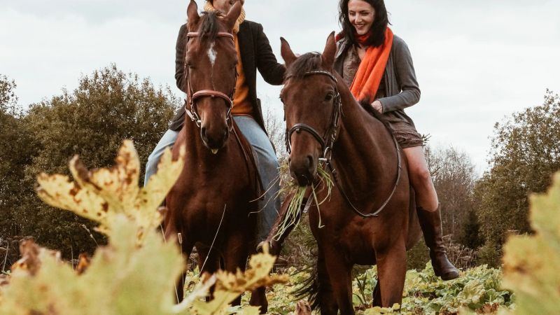 Discovering Italy on Horseback: The Best Rides to Immerse Yourself in Nature