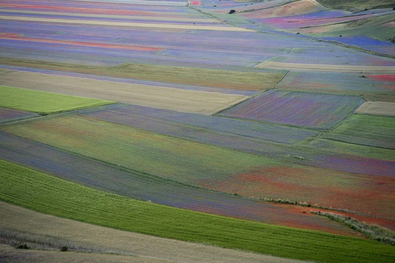 fioritura castelluccio di norcia