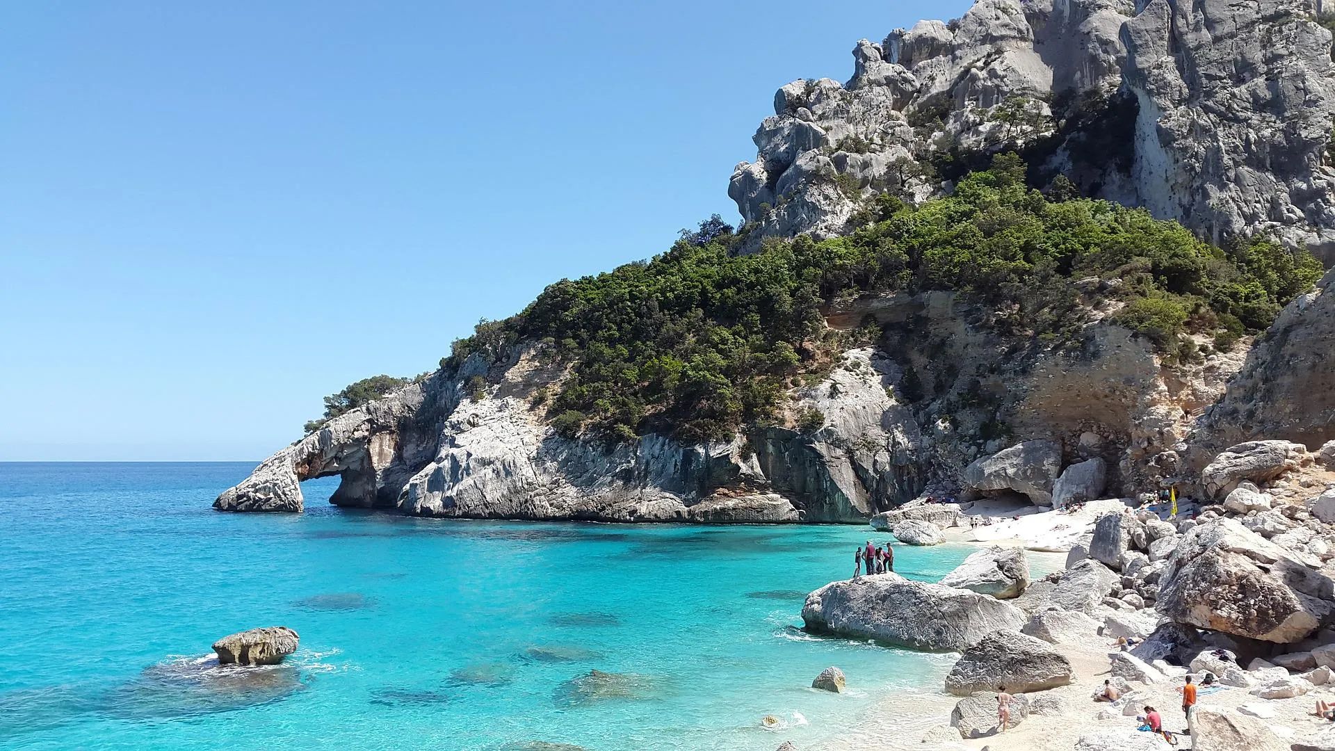 group vacations for singles