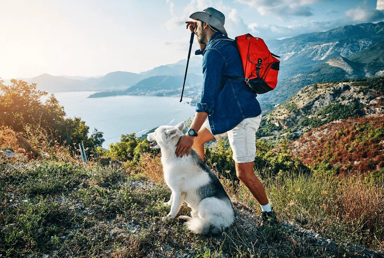 attività-con-cani-in-veneto