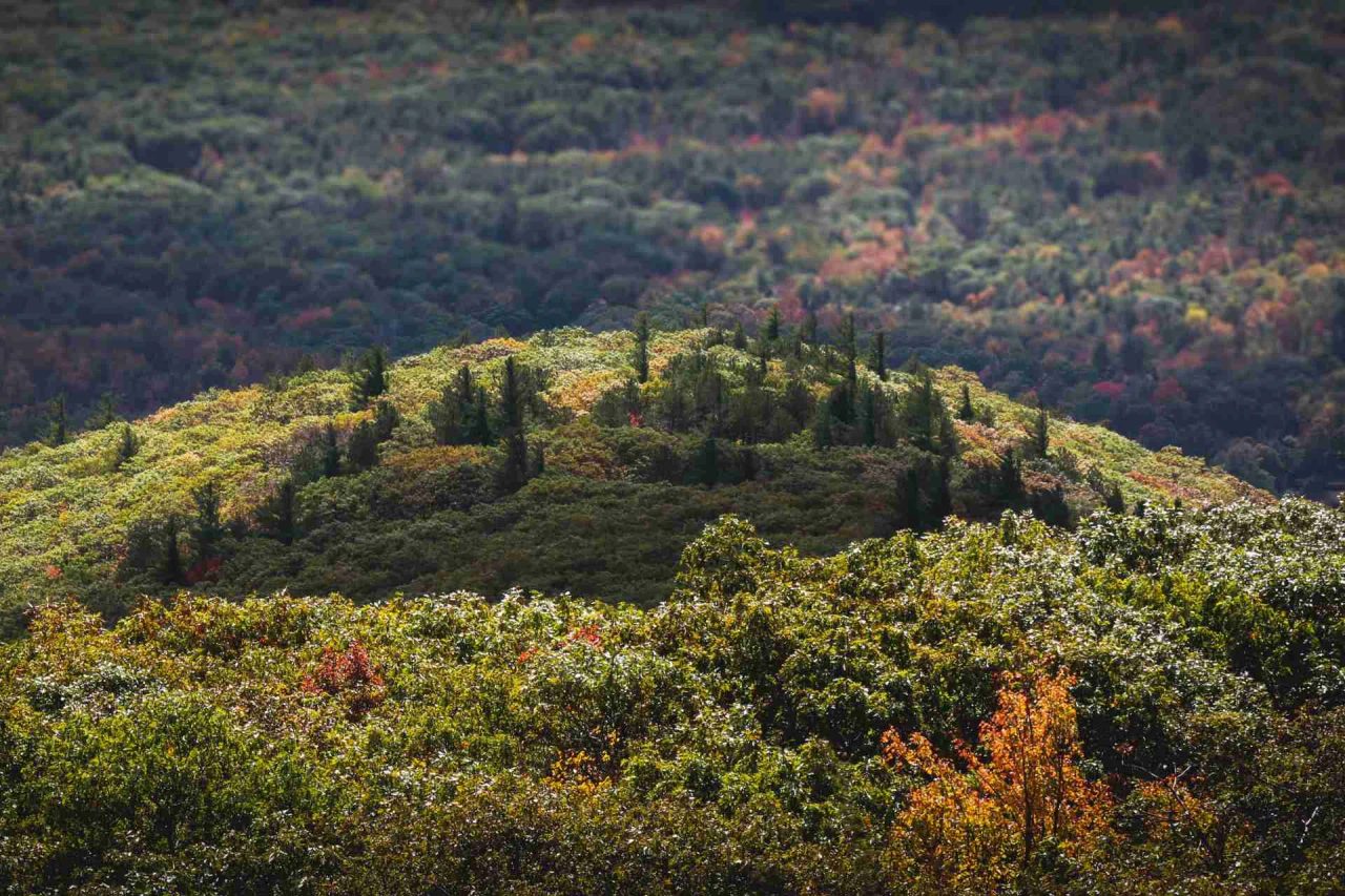 monte grotto articolo appassionati punti provincia escursione paesaggi