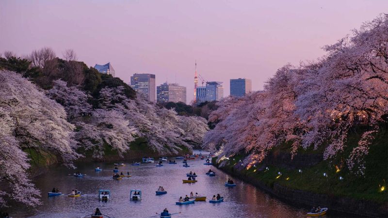 What to Do in Japan in Spring