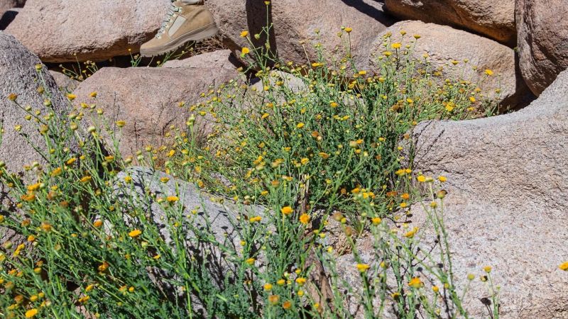 Mount Circe: Legends and Hiking Trails