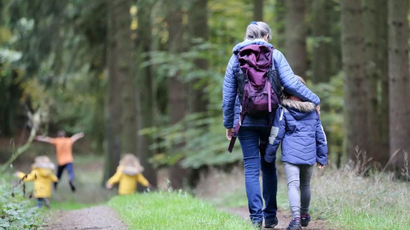 trails with kids
