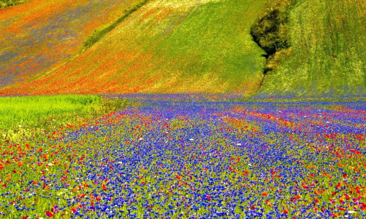 castelluccio di norcia