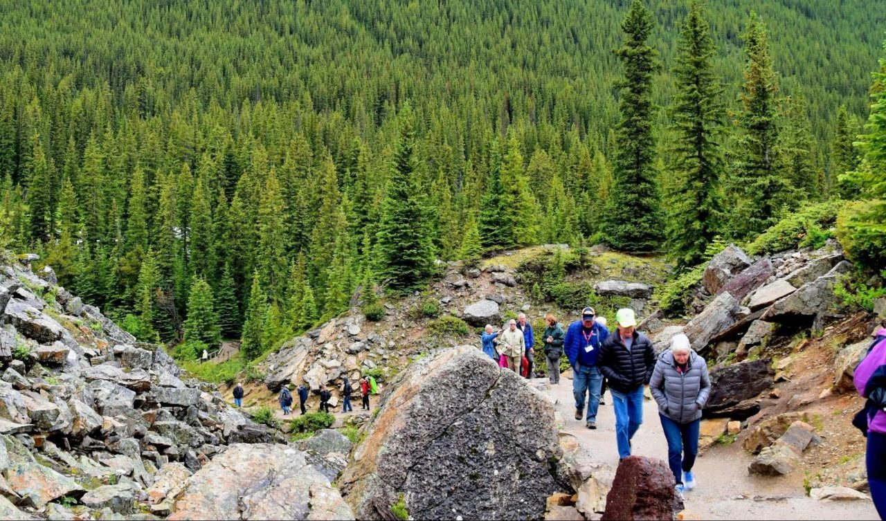 Se ti senti solo decidere di unirti a un gruppo per camminare in montagna può essere un'ottima opportunità