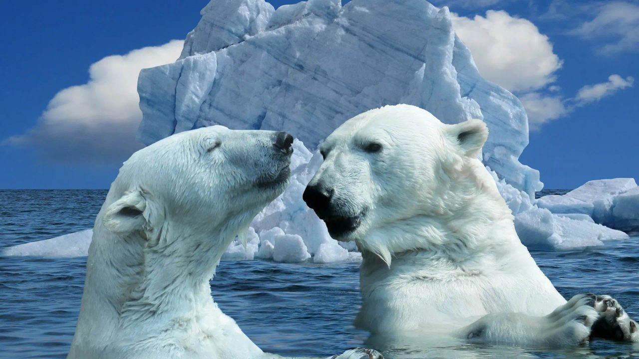 the best icebreaker questions
